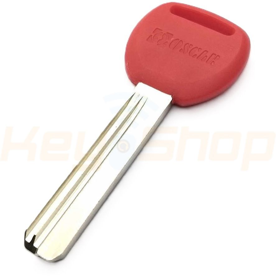 מפתח בית- אוסקר ימין