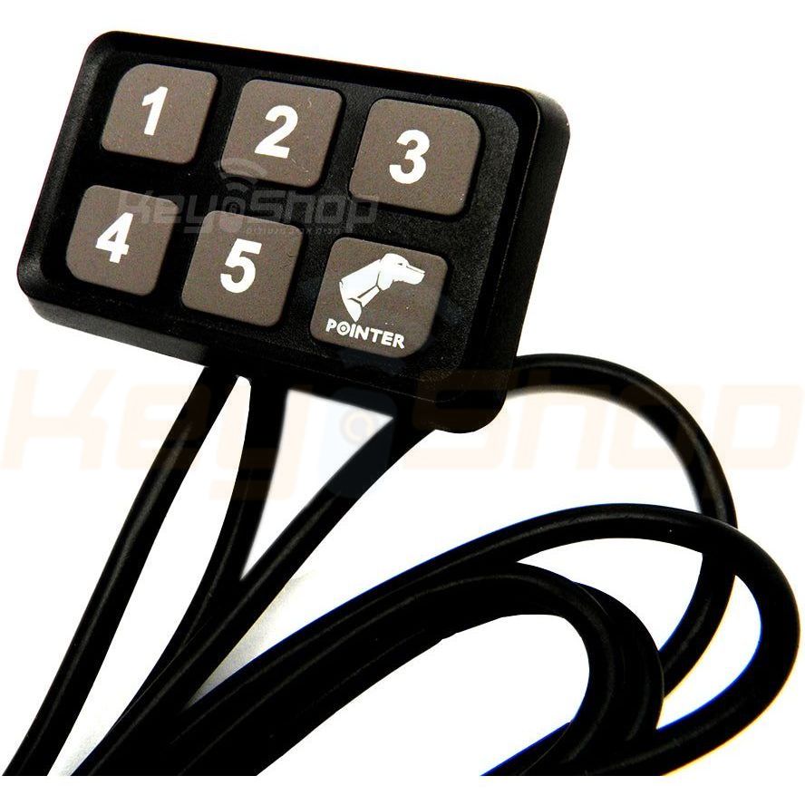 קודן פוינטר