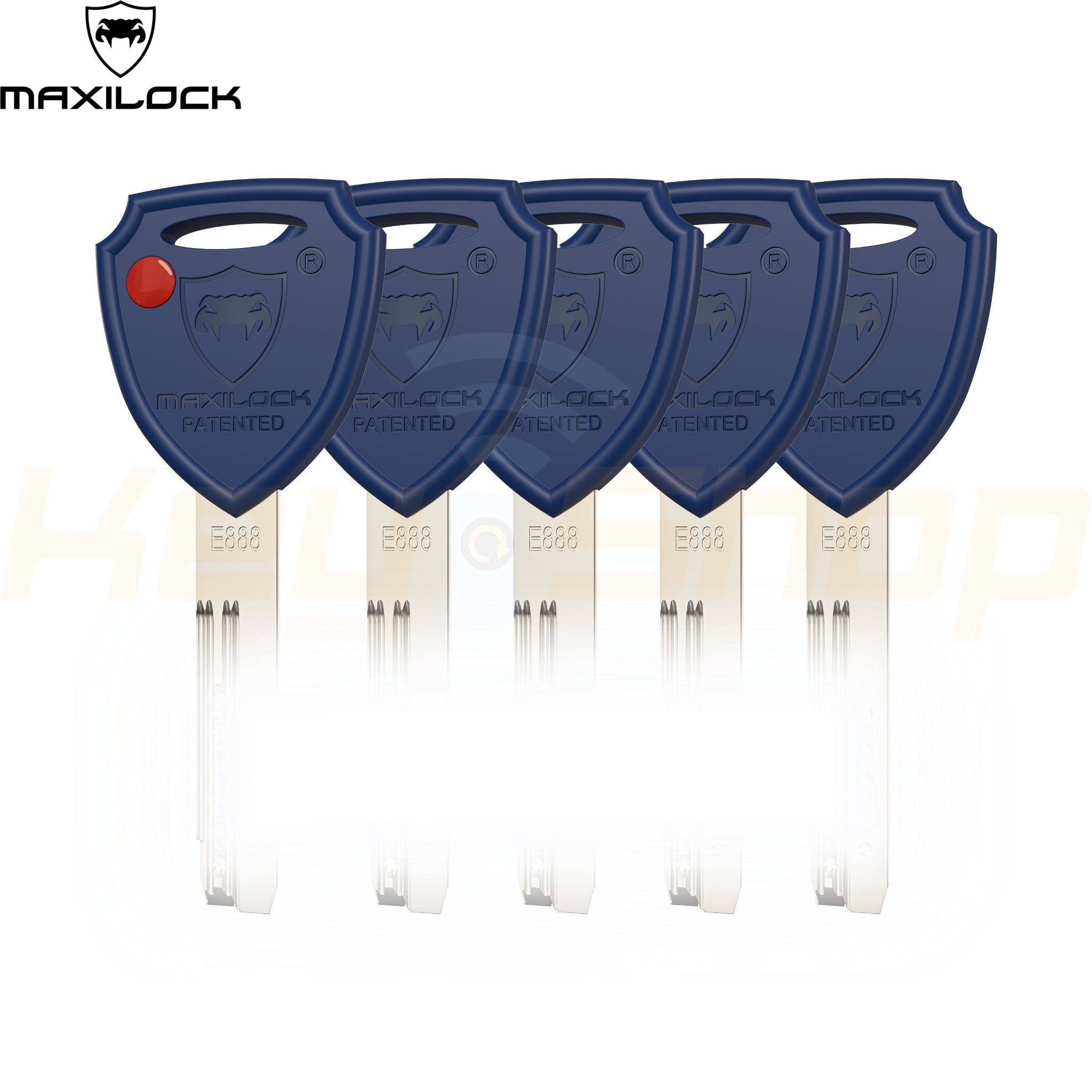 MAXILOCK SLIDER: - צילינדר - 81מ"מ - פטנט סליידר - 48+33-T גלגל + כפתור (עם 5 מפתחות)