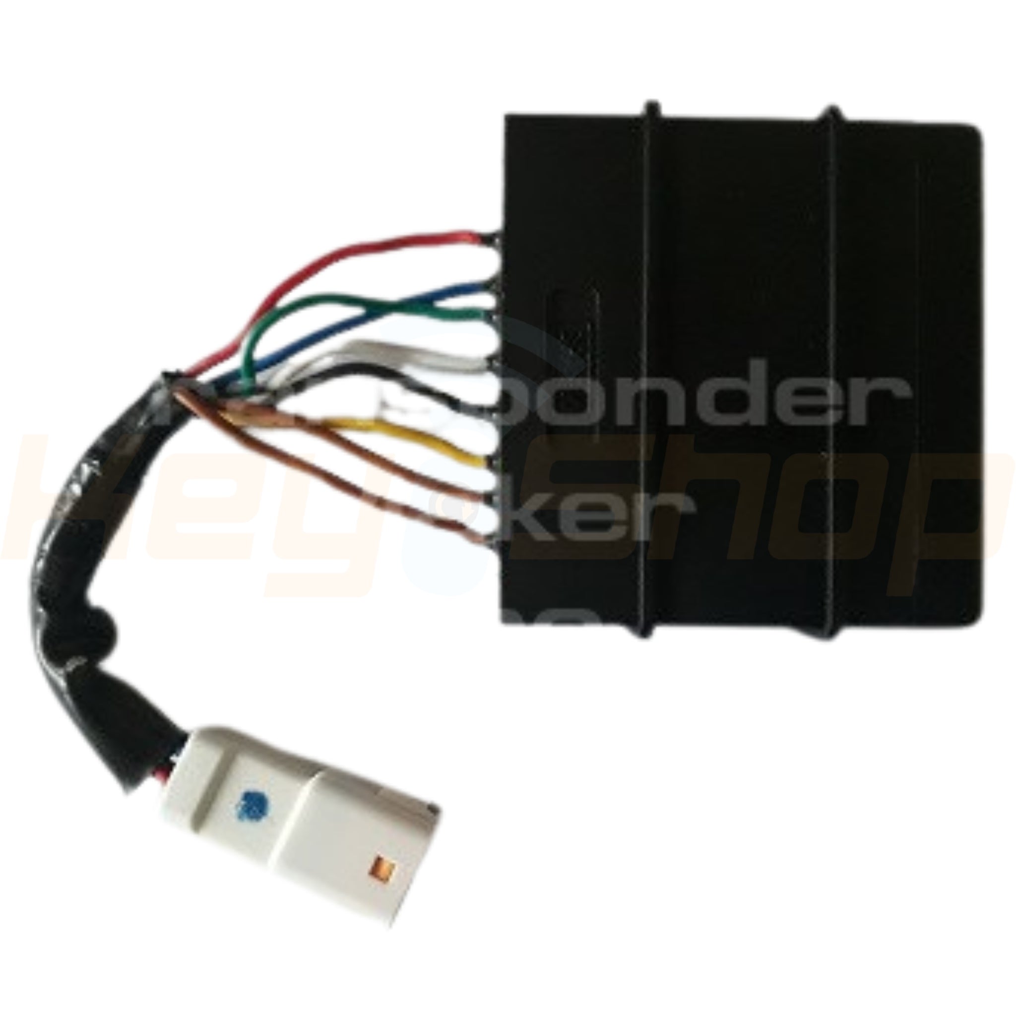 Software 238 / TRIUMPH Bike / ImmoBox SPARK