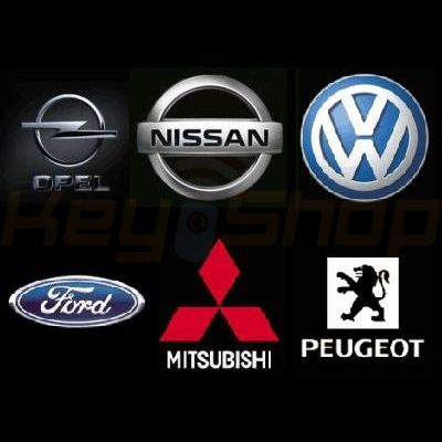 Software 39 /  PSA, Volkswagen, Seat, Opel, Nissan, Ford, Mitsubishi  / New chip